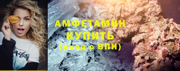 спиды Богородицк
