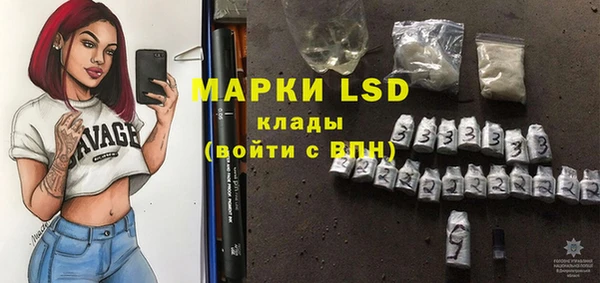 спиды Богородицк