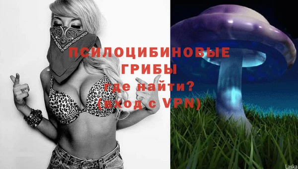 мяу мяу мука Богданович