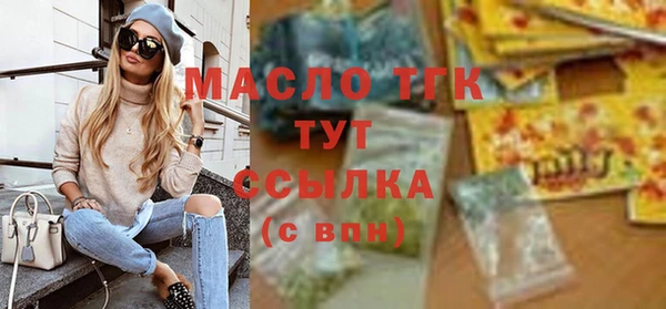 спиды Богородицк