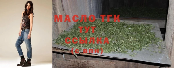 спиды Богородицк